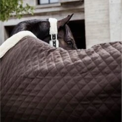Kentucky Horsewear Kentucky Showdecke 160g Braun -TRUS Pferd Geschaft kentucky 485a7141.0418b8