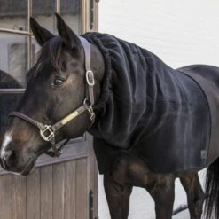 Kentucky Horsewear Kentucky Hals Heavy Fleece Navy Warmblut -TRUS Pferd Geschaft kentucky 485a7755.6e88e8