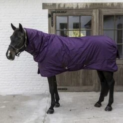 Kentucky Horsewear Kentucky Turnout All Weather 160g Violett