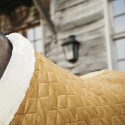 Kentucky Horsewear Kentucky Showdecke Velvet 160g Senf -TRUS Pferd Geschaft kentucky 485a9351 a929523.be37ee