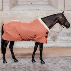 Kentucky Horsewear Kentucky Showdecke 160g Dunkelgrün -TRUS Pferd Geschaft kentucky 52101 45 3.b13e93 2