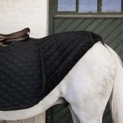 Kentucky Horsewear Kentucky Ausreitdecke Quadrat 160g Navy -TRUS Pferd Geschaft kentucky 52108 01 l 3.8b789c