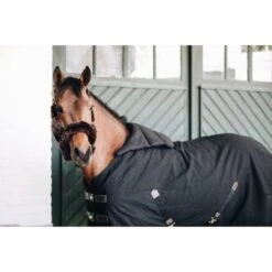 Kentucky Horsewear Kentucky Bib Sommer Navy Warmblut -TRUS Pferd Geschaft kentucky 52113 01 1.bdd5de 1