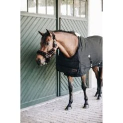 Kentucky Horsewear Kentucky Bib Sommer Schwarz Warmblut