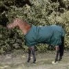 Kentucky Horsewear Kentucky Turnout All Weather 160g Dunkel Grün