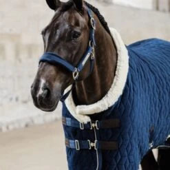 Kentucky Horsewear Kentucky Showdecke Velvet 160g Bordeaux -TRUS Pferd Geschaft kentucky 5n1a2571 a929523.2c3b49