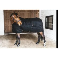 Kentucky Horsewear Kentucky Stalldecke Classic 200g Schwarz