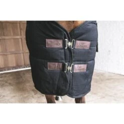 Kentucky Horsewear Kentucky Stalldecke Classic 200g Navy -TRUS Pferd Geschaft kentucky 64d1d73d455d4 8759a2e2d848b2e944ef2d78adbc3f7d4b27e7a0 179a2584.3ea1da