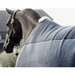 Kentucky Horsewear Kentucky Abschwitzdecke Heavy Braun -TRUS Pferd Geschaft kentucky fleecedeken heavy grey 1.8a1bb2