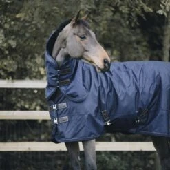 Kentucky Horsewear Kentucky Halsstück All Weather 150g Dunkelgrün -TRUS Pferd Geschaft kentucky halsstuk all weather 150gr navy 1.d22de4 1