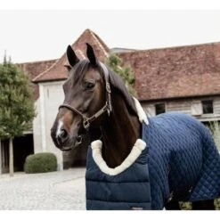 Kentucky Horsewear Kentucky Bib Winter Schwarz Warmblut -TRUS Pferd Geschaft kentucky kentucky horsewear rug accessoires horse bib winter navy 1 e8502ded370e565d04389cf2c54c4715 article photobook crop.06c0aa