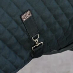 Kentucky Horsewear Kentucky Showdecke 160g Dunkelgrün -TRUS Pferd Geschaft kentucky showdeken 160g dg 2.9d7ffc