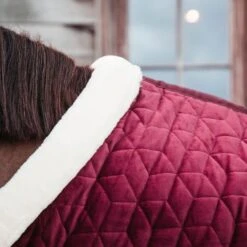 Kentucky Horsewear Kentucky Showdecke Velvet 160g Altrosa -TRUS Pferd Geschaft kh 485a0019.049fe1 1