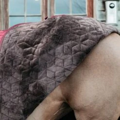 Kentucky Horsewear Kentucky Showdecke Velvet 160g Altrosa -TRUS Pferd Geschaft kh 485a0033.72fe04 1