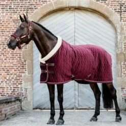 Kentucky Horsewear Kentucky Showdecke Velvet 160g Altrosa -TRUS Pferd Geschaft kh 485a1946.53d2d8 1