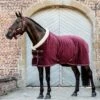 Kentucky Horsewear Kentucky Showdecke Velvet 160g Bordeaux