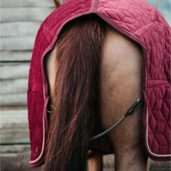 Kentucky Horsewear Kentucky Showdecke Velvet 160g Altrosa -TRUS Pferd Geschaft kh 485a9985.b6dbdd 1