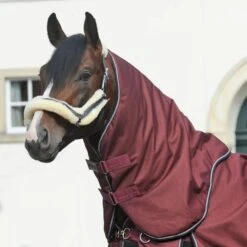 Kavalkade Halsstück Alaska IV 100g Bordeaux -TRUS Pferd Geschaft kv 46440.0bbbc3