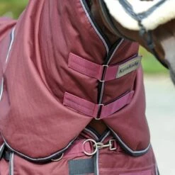 Kavalkade Halsstück Alaska IV 100g Bordeaux -TRUS Pferd Geschaft kv 46440 05.52e327