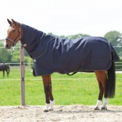 Kavalkade Halsstück Montreal 100g Navy -TRUS Pferd Geschaft kv 46740 04.f31049