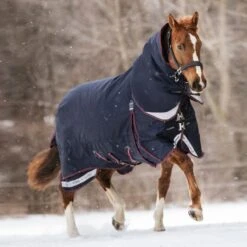 LeMieux Decke Kudos Turnout 350g Navy