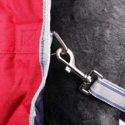 Weatherbeeta Winterdecke Comfitec Classic Combo Neck Medium/Lite 600D 100g Hellblau/Lila -TRUS Pferd Geschaft productagradi 44638383 5.735717