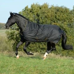 Bucas Irish Turnout Extra High Neck 300g Black/Gold 125/168 -TRUS Pferd Geschaft productbu 653.3fd4eb