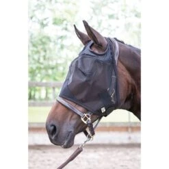 Harry's Horse Fliegenmaske Flyshield Ohne Ohren -TRUS Pferd Geschaft producthar 31300008.e09612