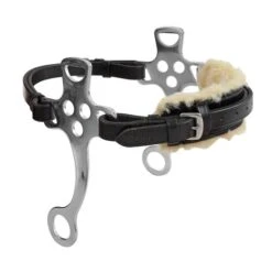 Blenheim Hackamore Riemen Schwarz