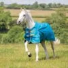 Shires Turnout Rug Lite 0g Teal