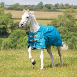 Shires Turnout Rug Lite 0g Teal