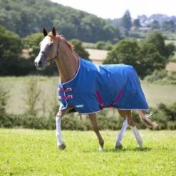 Tempest Original By Shires Outdoor Lite 0g Teal