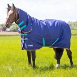 Tempest Original Winterdecke Turnout Combo 100g Navy