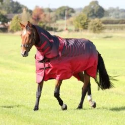 Tempest Original Winterdecke Turnout Combo 100g Navy -TRUS Pferd Geschaft shires 9338 redskeleton.9ad289