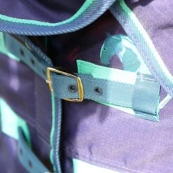 Highlander Original Winterdecke Turnout 200g Combo Schwarz -TRUS Pferd Geschaft shires 9355 navyforest 1.e4d491