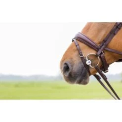 Trust Bustrense Inno Sense Zungenbogen Hard -TRUS Pferd Geschaft trust 864a2062.e9d464 1