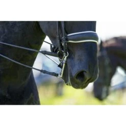 Trust Kandarenstange Sweet Iron Weymouth Fixed Arched -TRUS Pferd Geschaft trust dressage.fd7909 3