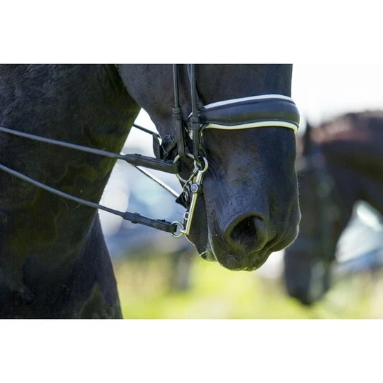 Trust Kandarenstange Sweet Iron Weymouth Fixed Low Port 4 Trust Kandarenstange Sweet Iron Weymouth Fixed Low Port – Bild 4