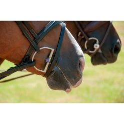 Trust Kandare Gebiss Inno Sense Dee Flexi Soft 20mm 5 Trust Kandare Gebiss Inno Sense Dee Flexi Soft 20mm -TRUS Pferd Geschaft trust dsc 6400.ea21fa 3