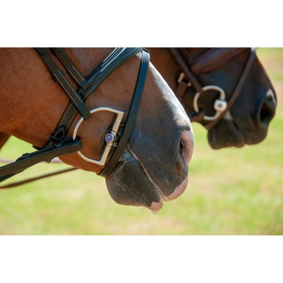 Trust Kandare Gebiss Inno Sense Dee Flexi Soft 20mm 3 Trust Kandare Gebiss Inno Sense Dee Flexi Soft 20mm – Bild 3