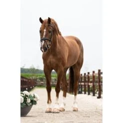 Trust Trens Gebiss Inno Sense 2,5 Ring Port Medium 20mm -TRUS Pferd Geschaft trust tom 4586.75acb3 1