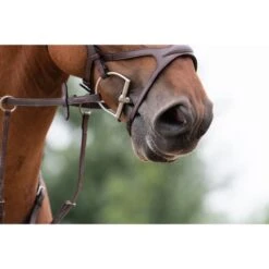 Trust D-bit Sweet Iron Arched -TRUS Pferd Geschaft trust tom 5132.8eb666