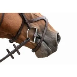 Trust Kandare Gebiss Sweet Iron Dee Brass Ring 16mm -TRUS Pferd Geschaft trust tom 5137.fb3ff0 2