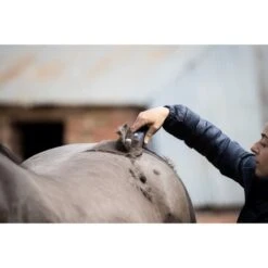 Wahl Schermachine Eclipse -TRUS Pferd Geschaft wahl eclipse wahl mood 1.479a75