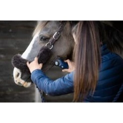 Wahl Schermachine Eclipse -TRUS Pferd Geschaft wahl eclipse wahl mood 2.de4d29