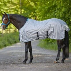 Waldhausen Fliegendecke Protect Mit Bauchgurten Hellrosa -TRUS Pferd Geschaft wald 63143011 125 06.5da5f2