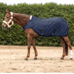 Waldhausen Führanlagendecke Exclusive Schwarz 125/175 -TRUS Pferd Geschaft wald 6330605 125 30.9a7580