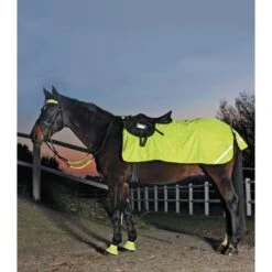 Waldhausen Nierendecke Reflex Neon Gelb Pony