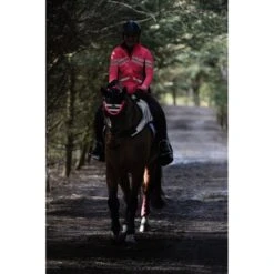 Weatherbeeta Ausreitdecke Reflective Wrap Around Silber/Schwarz -TRUS Pferd Geschaft wb 1005272002 1004324004 1004917002 wb hvy jack hiviz lifestyle.57d2b6