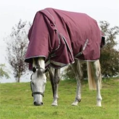 Weatherbeeta Comfitec Plus Dynamic II Detach-A-Neck Heavy Maroon/Grau/Weiß -TRUS Pferd Geschaft wb 1006926014 wb cft pdynmc ii dan grazing image lifestyle2.3b5406